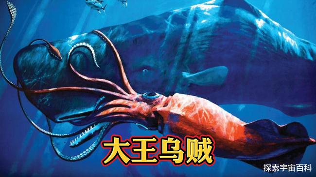 {1xbet博彩娛樂}(史上十大海洋最强生物)